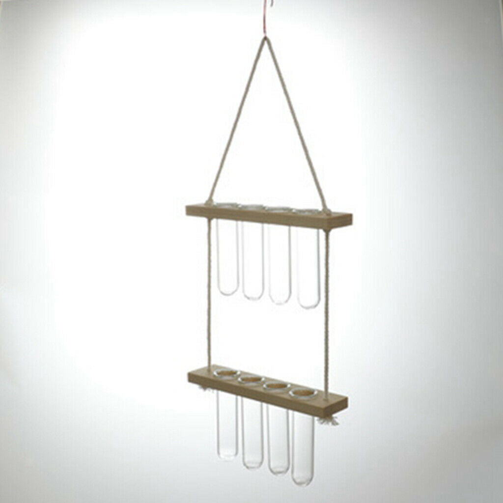 Hanging Hydroponic Terrarium Glass Planter Propagator Indoor Plant Bar Decor