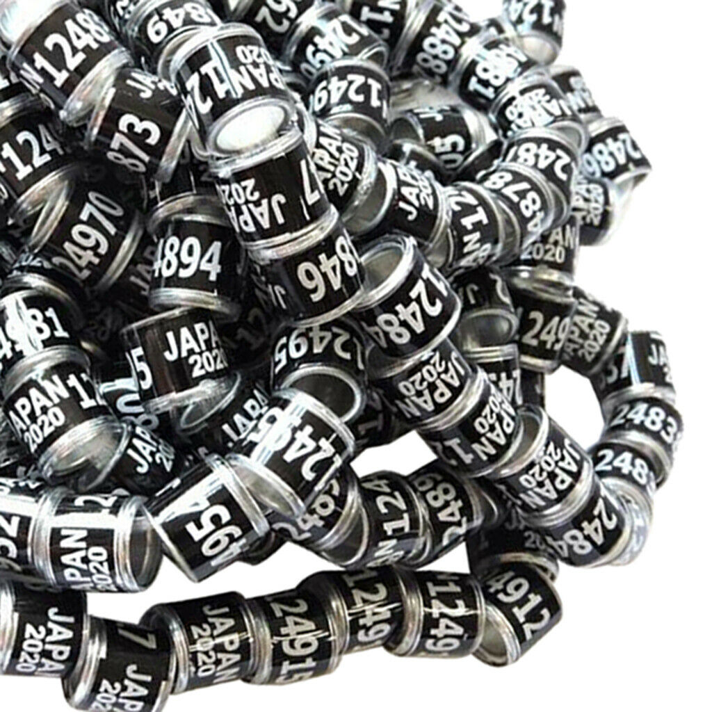 Set of 100 Racing Pigeon Leg Ring 2020 Year 8mm Plastic No Harm Black Japan
