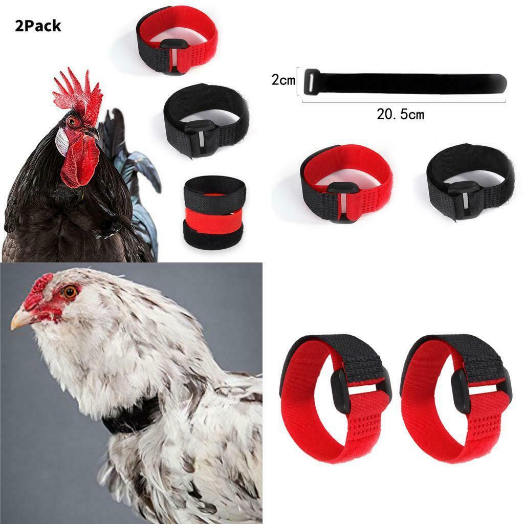 2pcs Chicken Collar Anti Crow Prevent Rooster from Screaming for Rooster