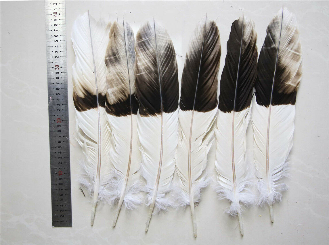 12pcs natural tail Feathers dyed coffee 12-16 inch/30-40 cm Carnival Diy costume