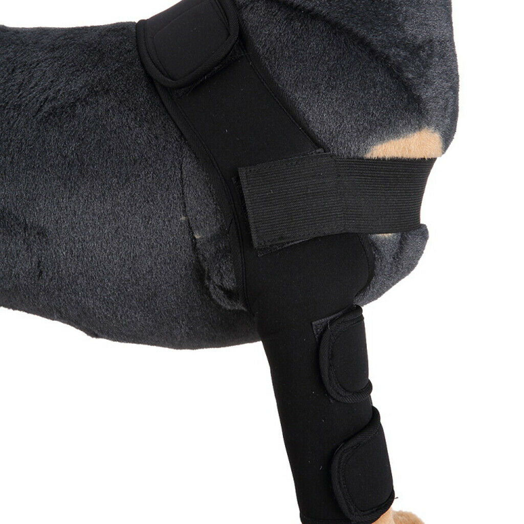 Black M Pet Dog Puppy Front Leg Hock Joint Wrap Protect Wounds
