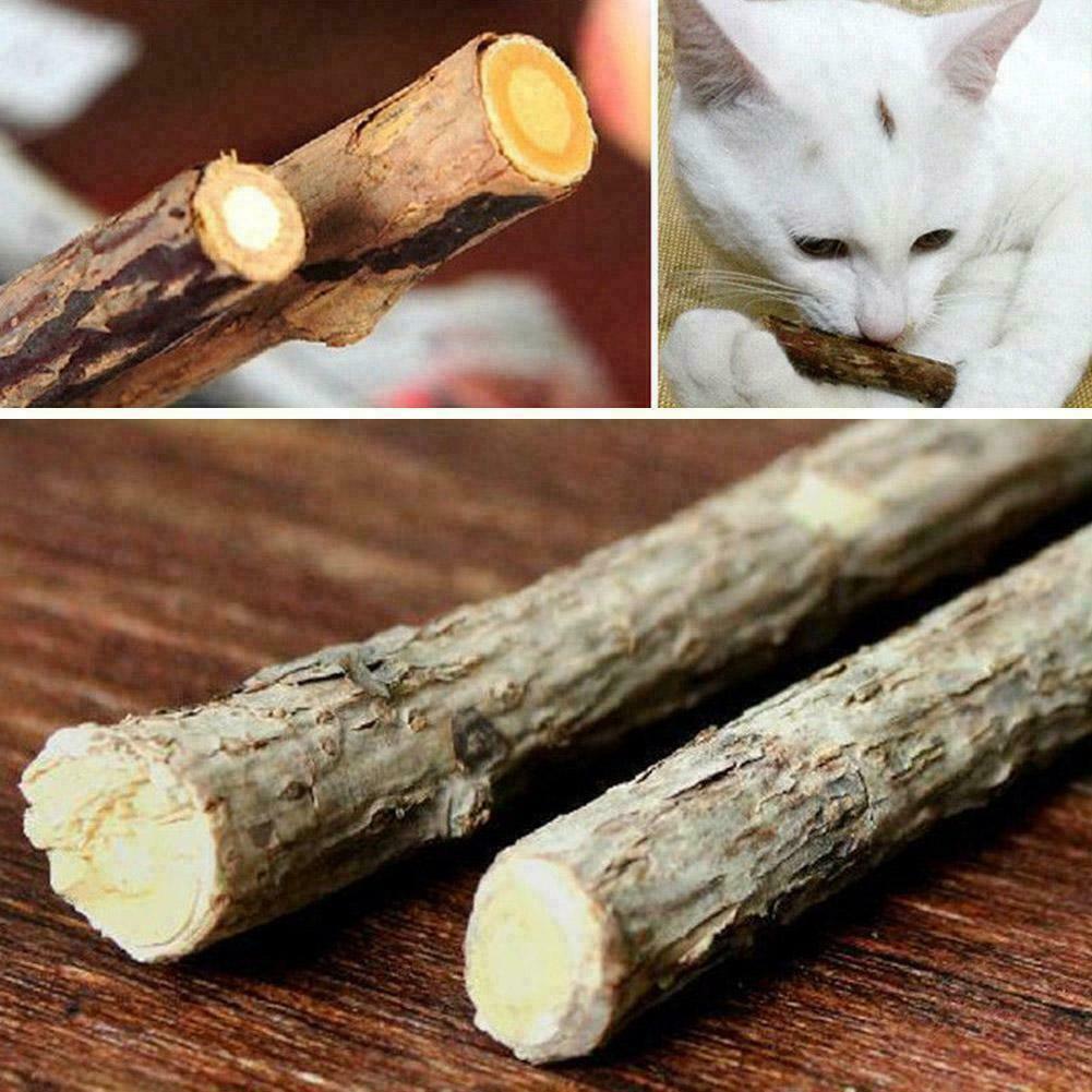 10PCS Cat Snacks Natural Matatabi Chew Catnip Stick Molar Cleaning Brush B3J6