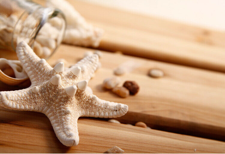 Girls Womens Pretty Natural Starfish Sea Star Hairpin Hair Clip Beach Jewelry