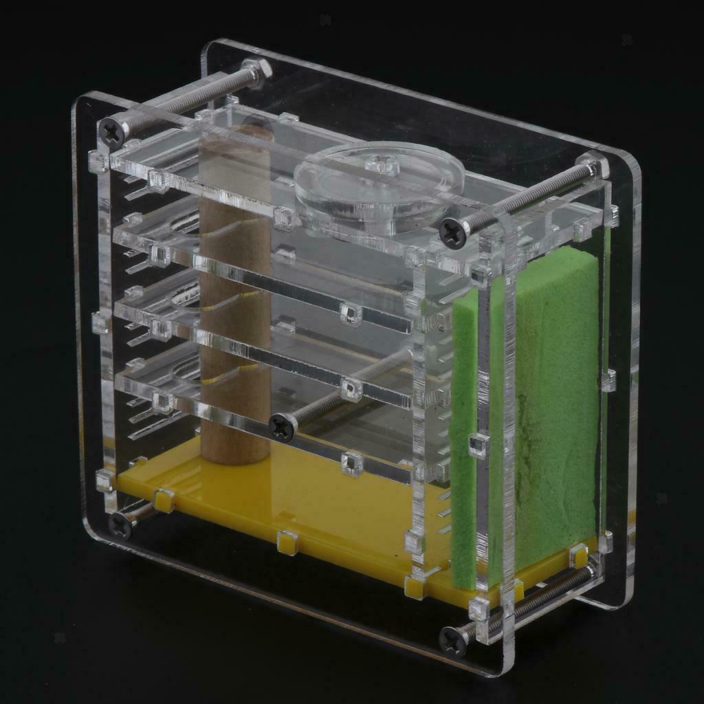 Clear Ant Feeding Nursery Box Ant Farm House Castle For Insect Ant Reptile B