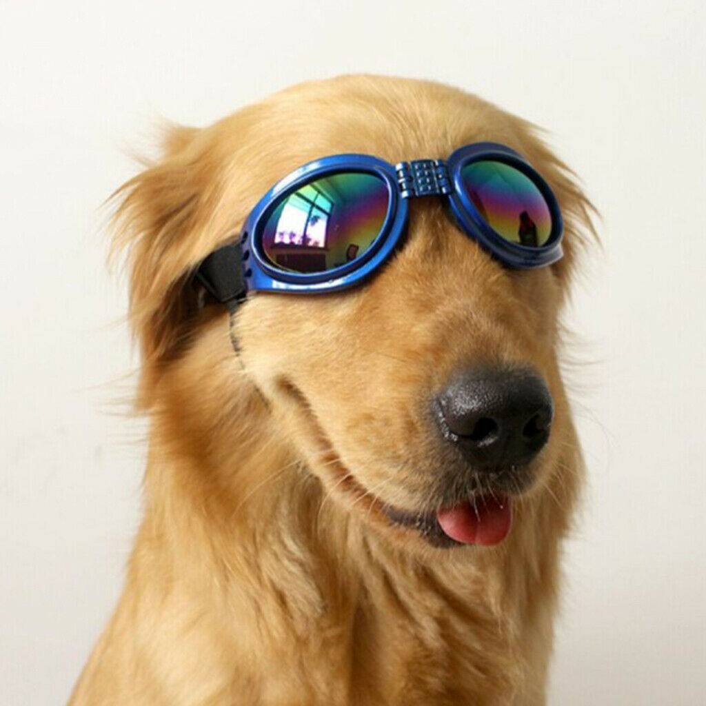 Foldable Adjustable Pet Dog Sunglasses UV Protection Eye Wear Protection Blue