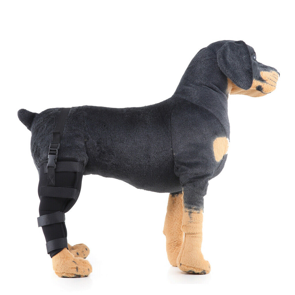 2 Pack Pet Auxiliary Belt  Dog Protective Joints Protector For Dog Puppy