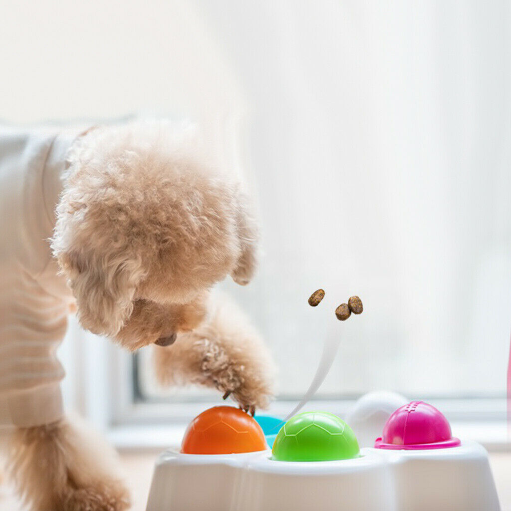 Slow Feeder Dog Bowl Healthy Design Bowl Helps Stop Bloat Prevents Obesity