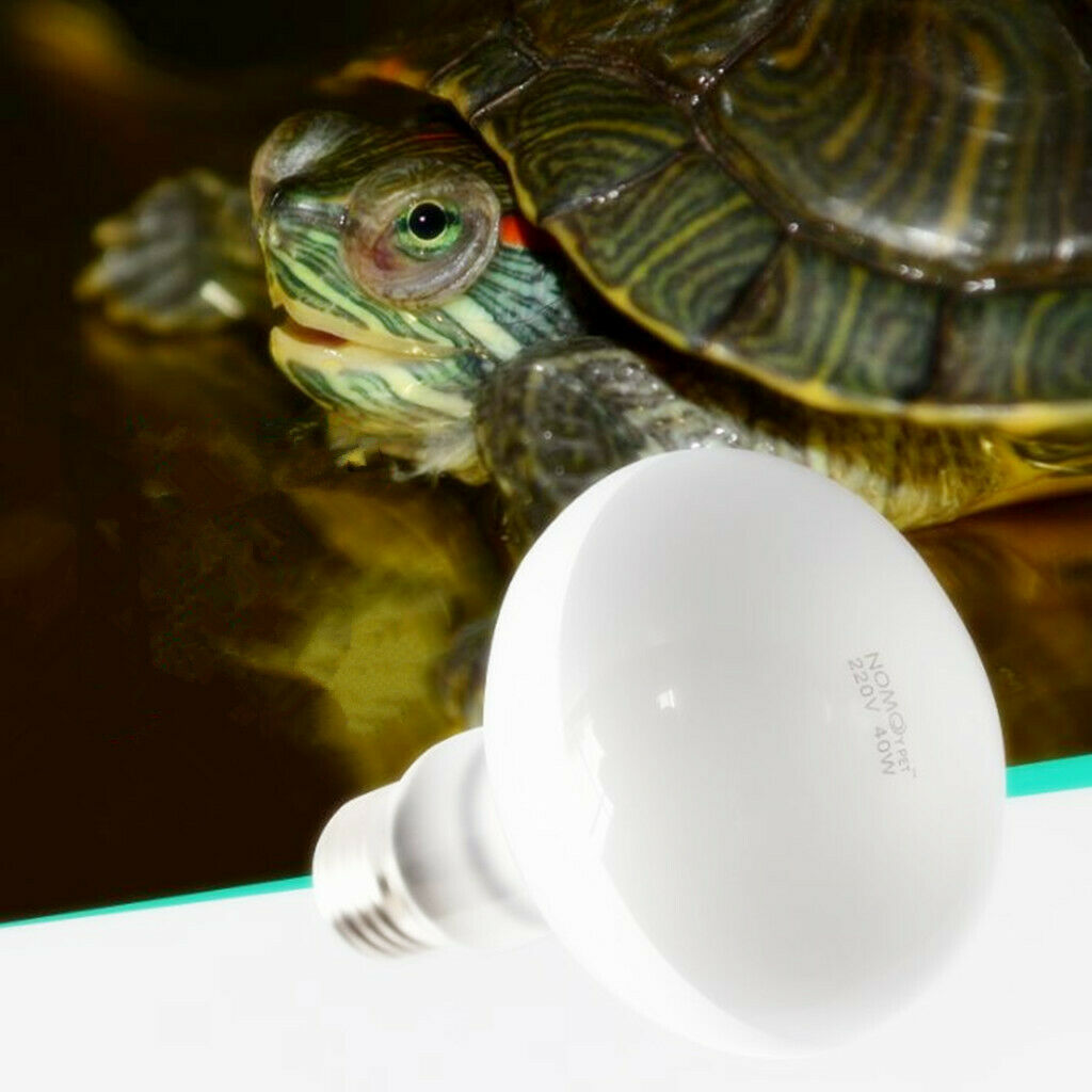 Reptile Daylight Basking Spot Lamp Heat Lighting Bulb Sun Light 60W