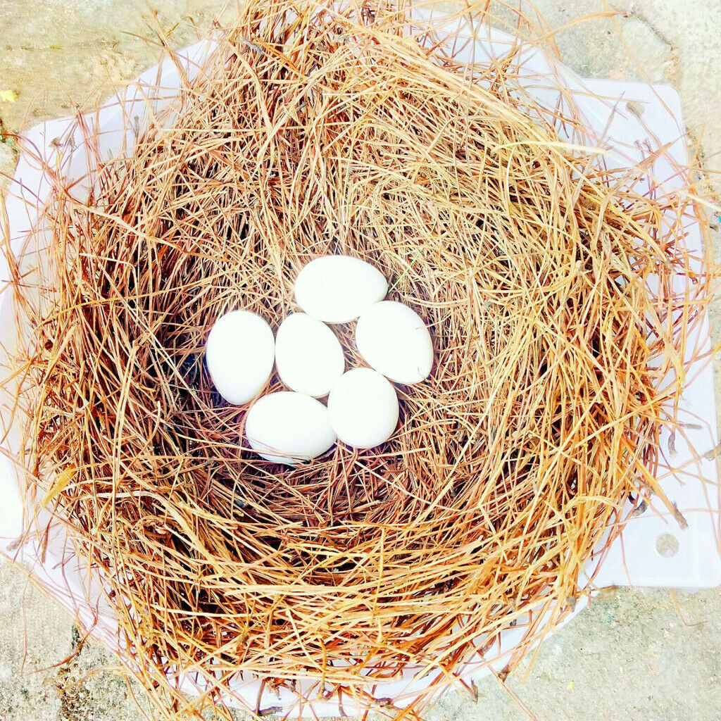 Pet Nest Supplies Natural Pine Leaf Mat for Cat Dog Bird Parrot Rabbit 2