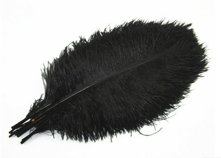 black 100pcs 8-10 inches/20-25cm ostrich Feathers wedding decoration New