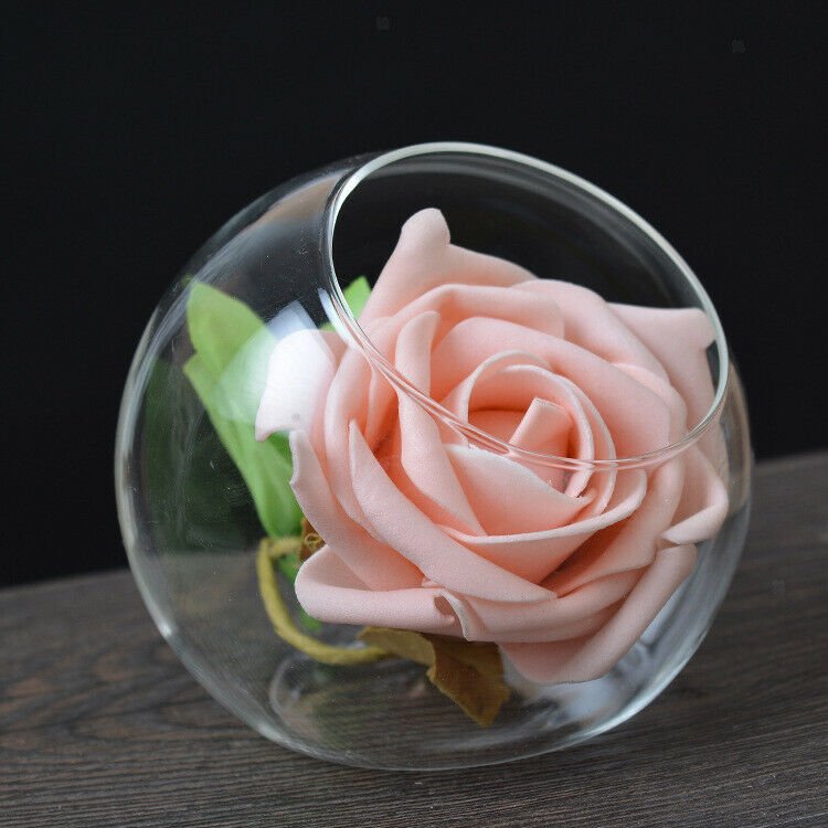 5Pcs Transparent Ball Glass Hydroponic Pot Flower Vase Terrarium Home Decor