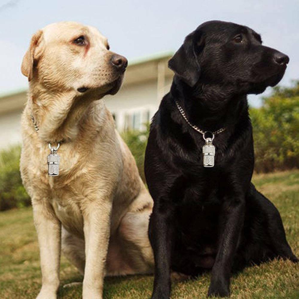2PCS Anti-Lost Pet Dog Cat Puppy ID Address Name Label Tag Barrel Tube Collar ~