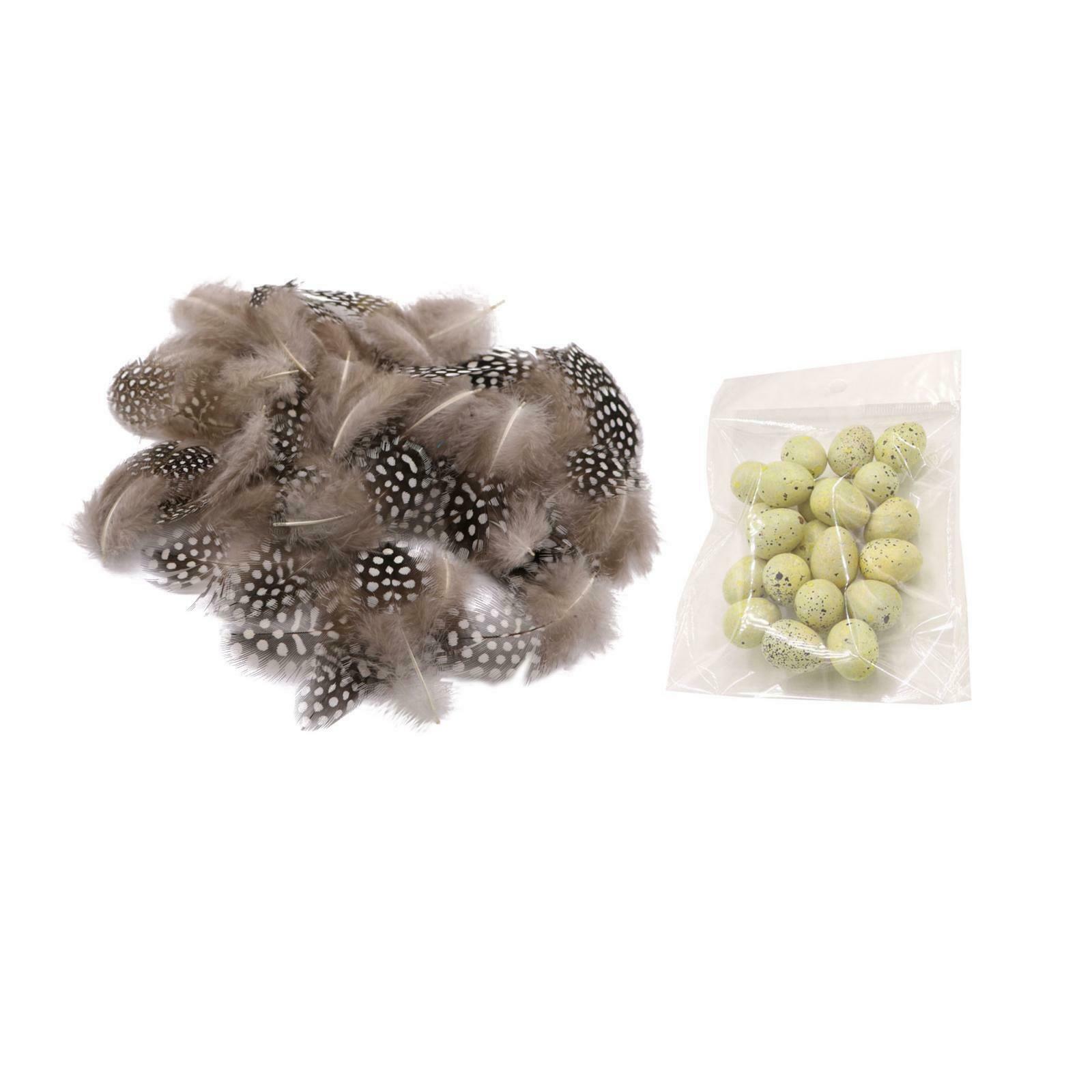 Pheasant Rooster Feathers Bird Eggs Crafts Wedding for Accessories Ornament
