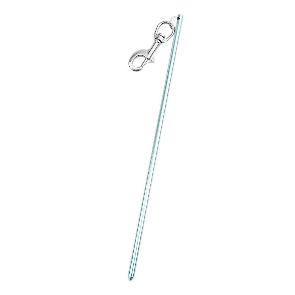 Scuba Diving Pointer with Bolt Snap green