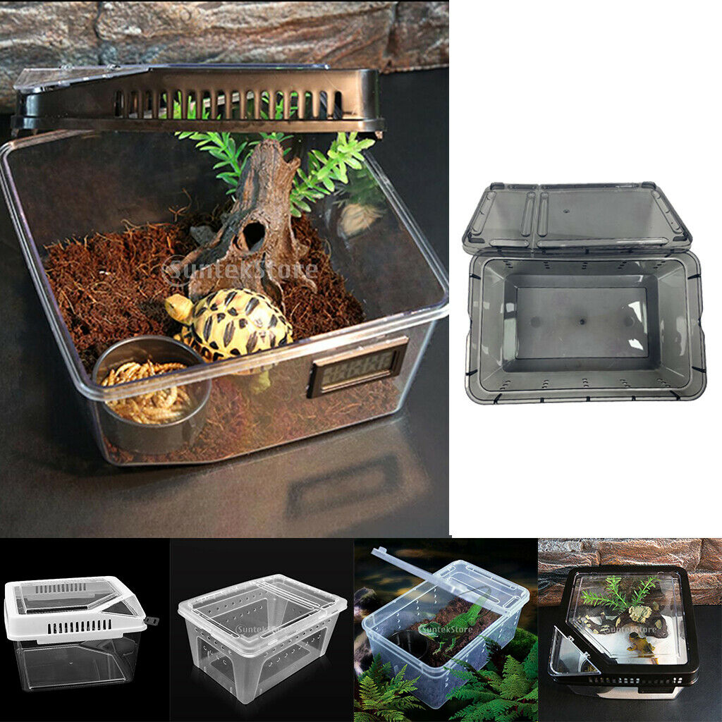Black Reptile Food Feeding Container Spiders Hatching Cage for Lizards