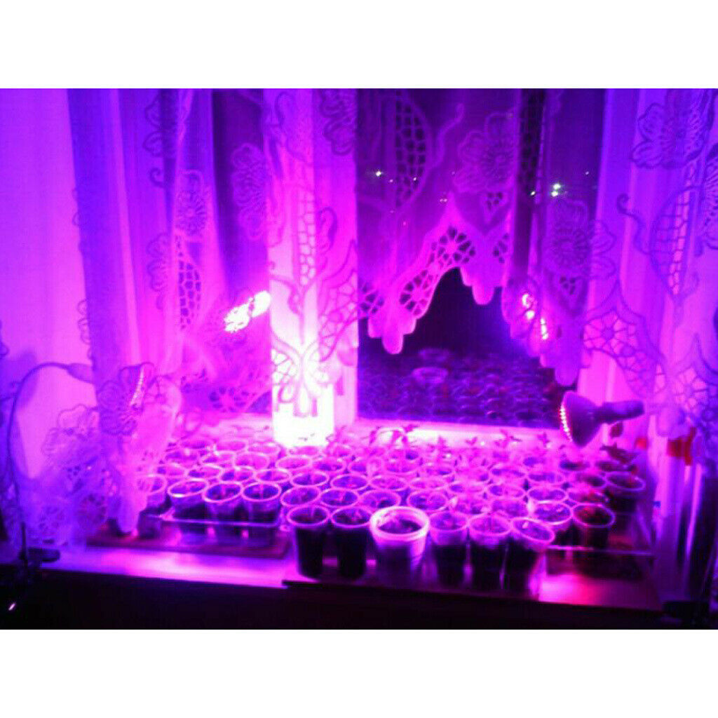 LED Grow Light Bub Fruit Flower Plant Grow Lamp for Indoor Plants  1