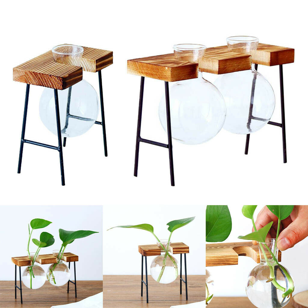 Set of 2 Hydroponic Glass Planter Container in Wooden Stand Plant Stand