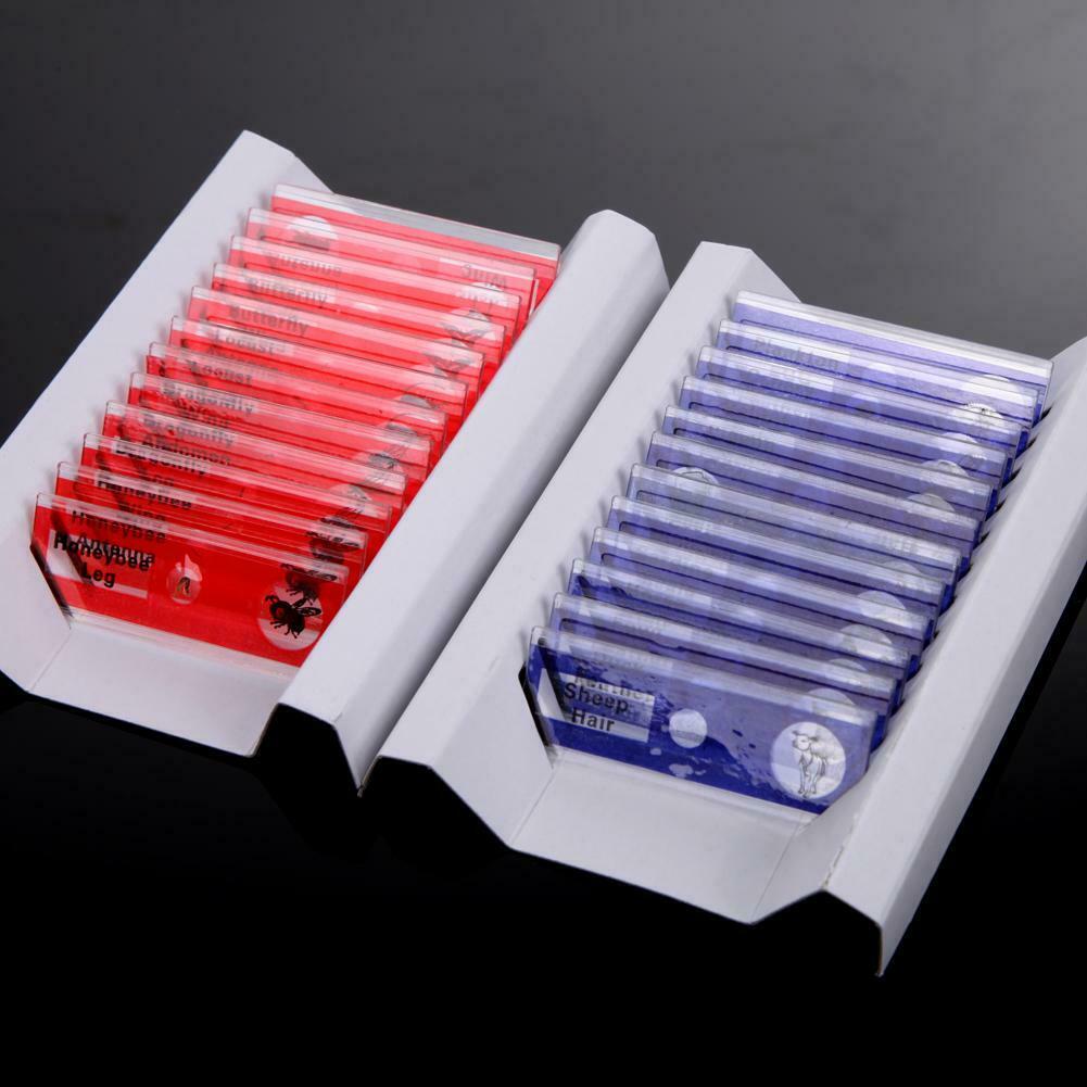 Prepared Plastic Microscope Slides Animals Insects Flowers Plants Student C#P5