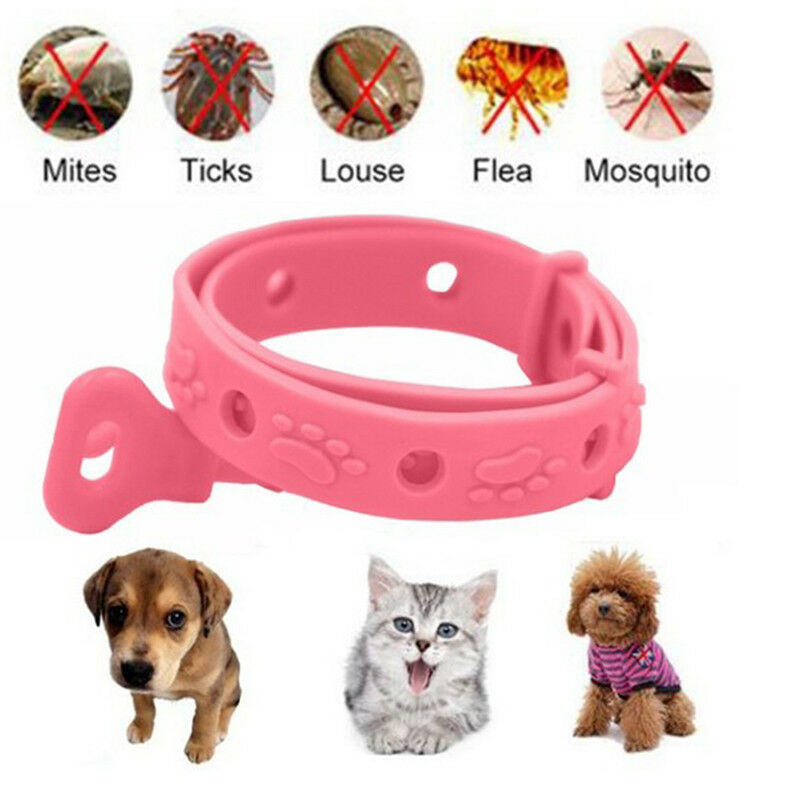 Dog Kitten Adjustable Pet Collar Neck Strap Remedy Anti Flea Mite Acari TickBDD