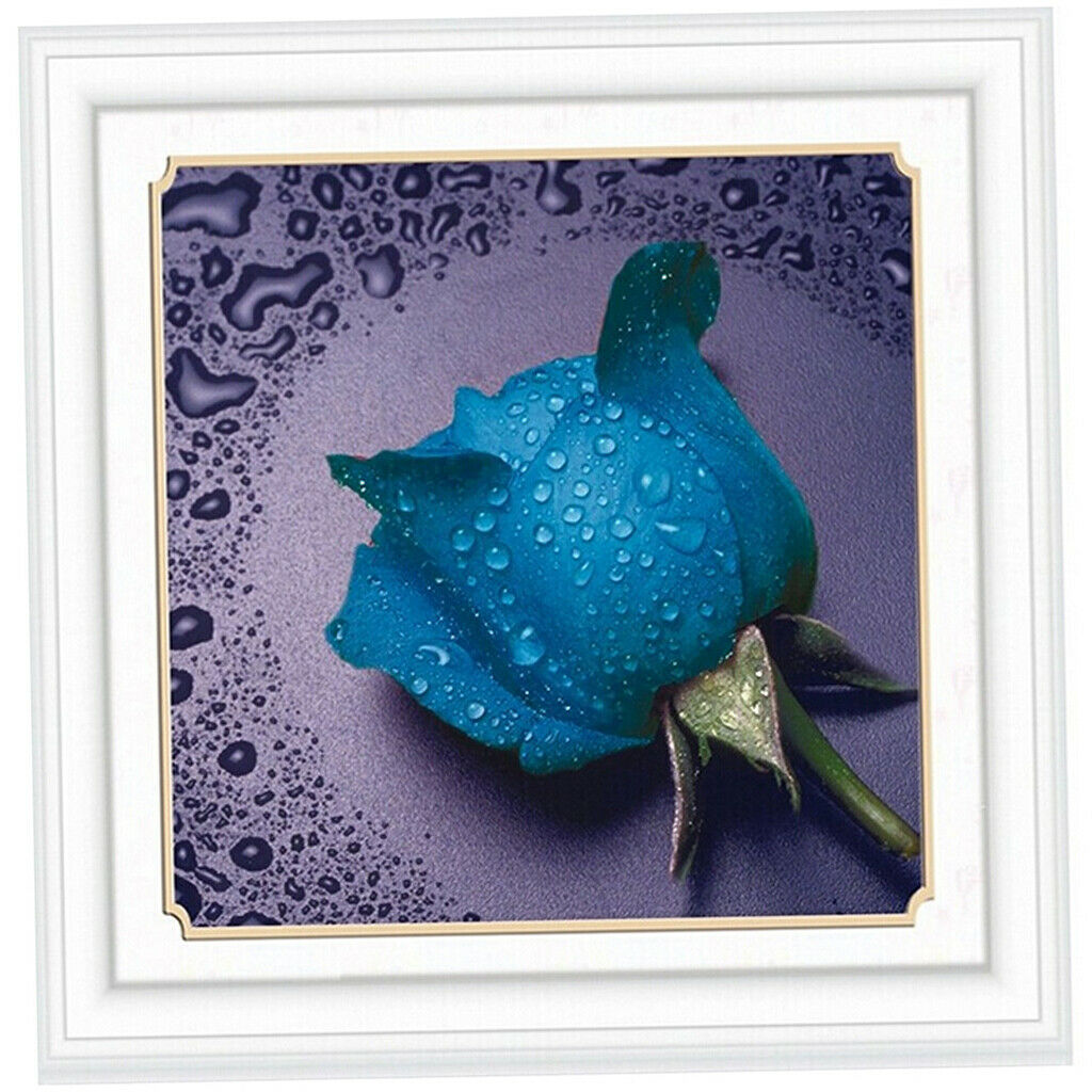 5D Diamond Painting Embroider Cross Stitch Craft DIY  Drop Blue #12