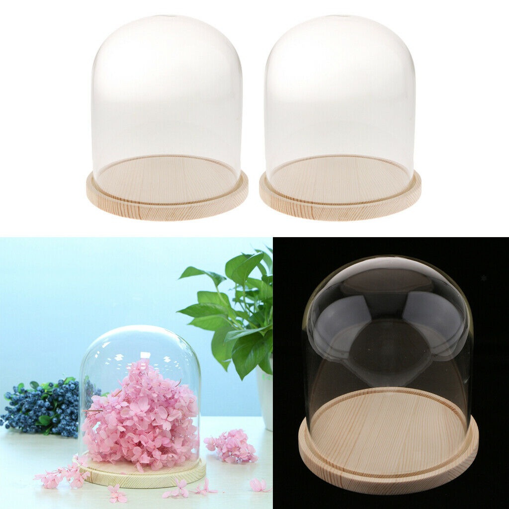 2-pack Clear Festival Glass Dome with Wooden Base Display Bell Jar Case