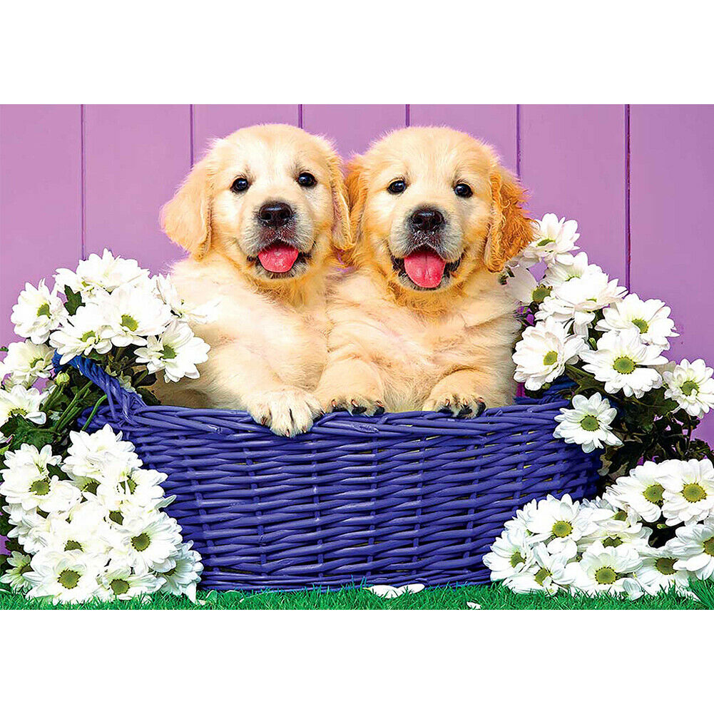 5D DIY Diamond Painting Two Dogs in Basket Full Drill Animal Cross Stitch @