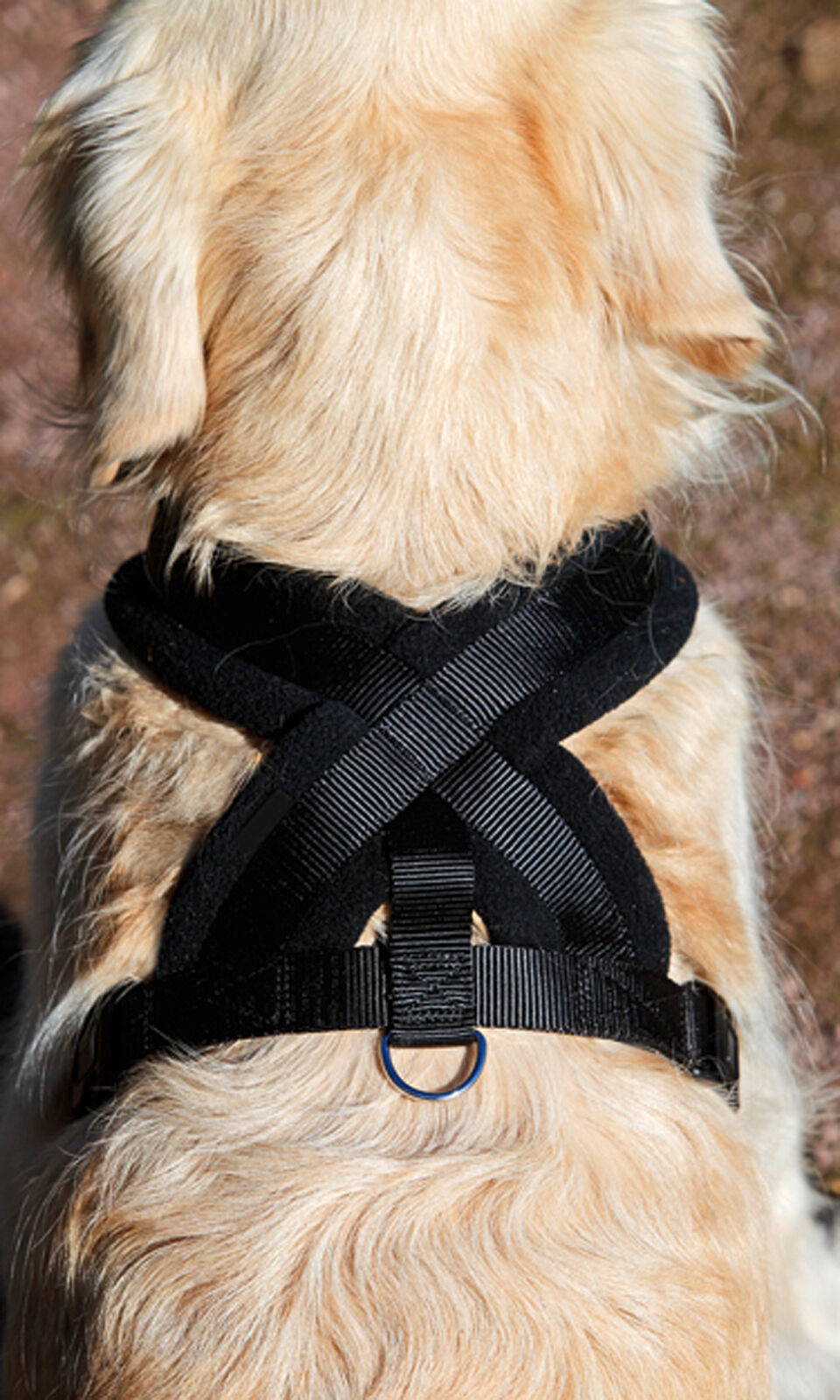 Dog Adjustable Chest Strap Belt Harness Pet Walking Collar Strap Red S
