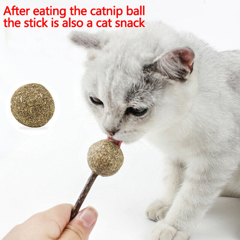 Catnip Chewing Teeth Cleaning Treats Lollipop Natural Catnip Lollipop Sh .l8