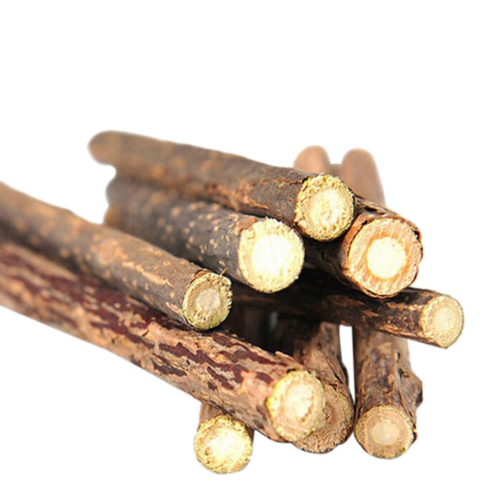5x Pet Chew Stick Natural Matatabi Catnip Cat Molar Grinding Claws Treat T.l8