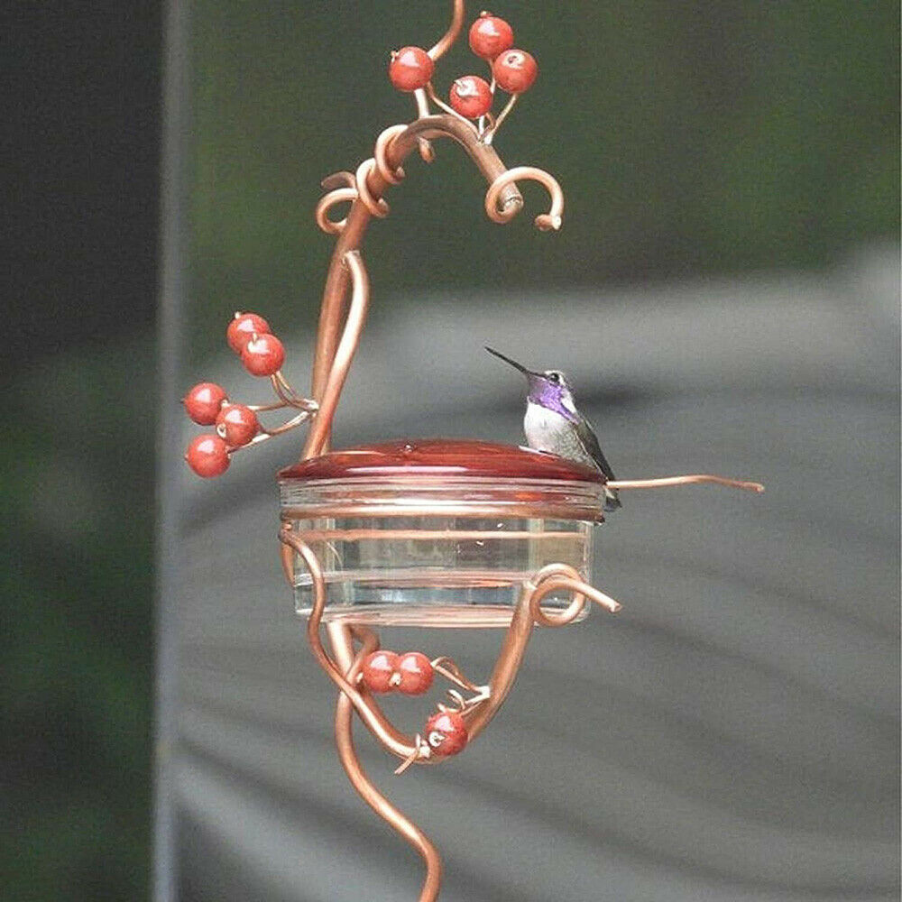 Red Berries Hummingbird Feeder Outdoor Hanging Garden Window Bird Feeder Craft