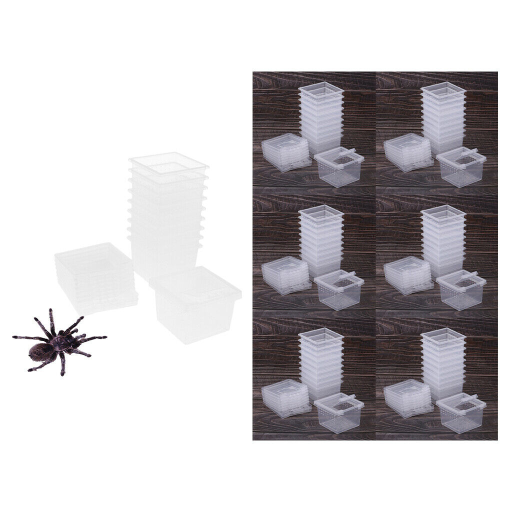 60pcs Reptile Lizards Feeding Box Turtle Feeding Box For Reptile Snakes