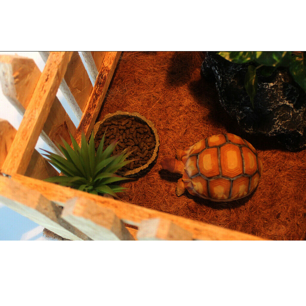 Reptile Creeping Protection Bar DIY Amphibious Wooden Fence Landscaping