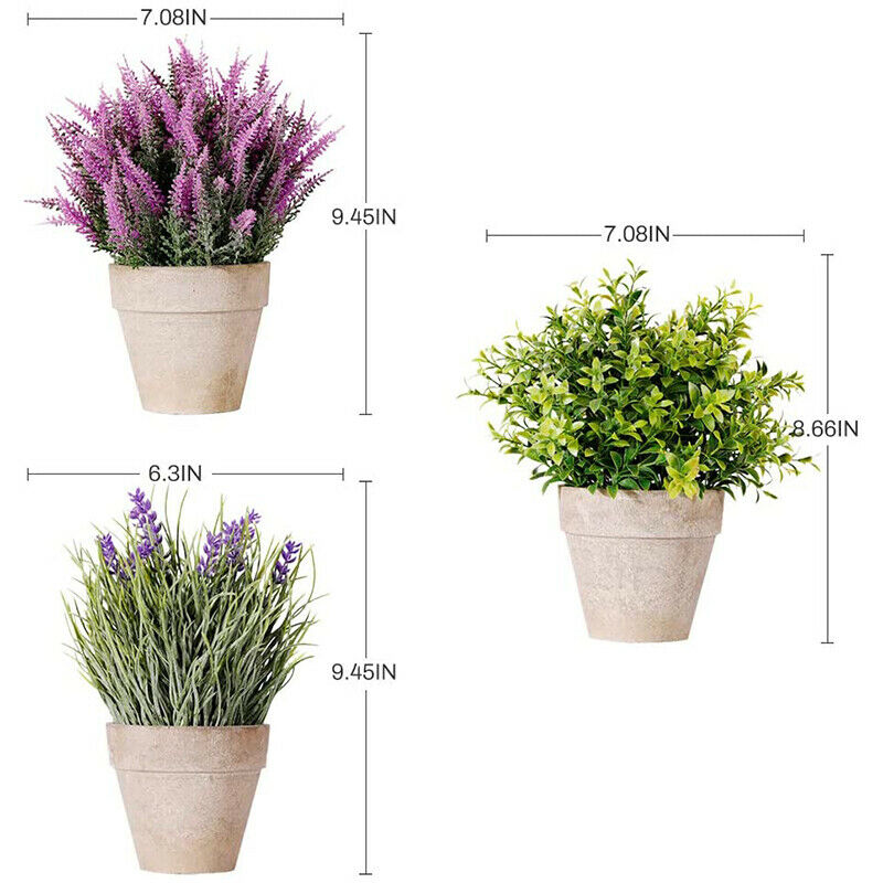 Mini Potted Artificial Money Leaf Plants Set of 3 Lavender Cedar Bud GreenerA3K2