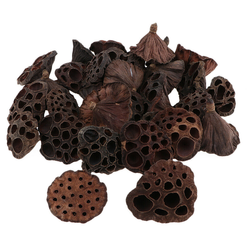 60pcs Natural Dried Lotus Pod Flowers Fruit For Wedding Party Flower Decor