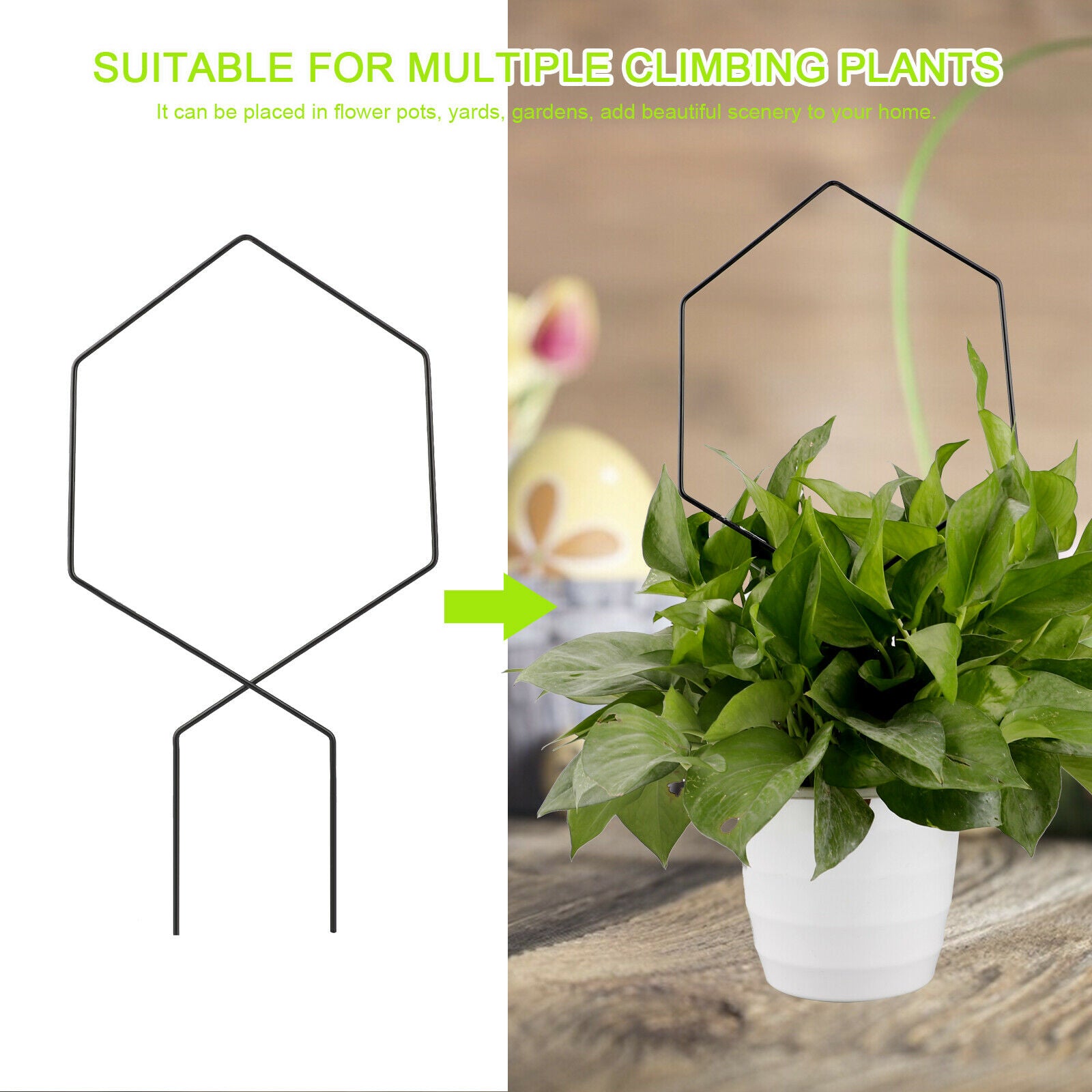 Climbing Flower Iron Bird Potted Plant Stand Black Durable Support Frame Decor