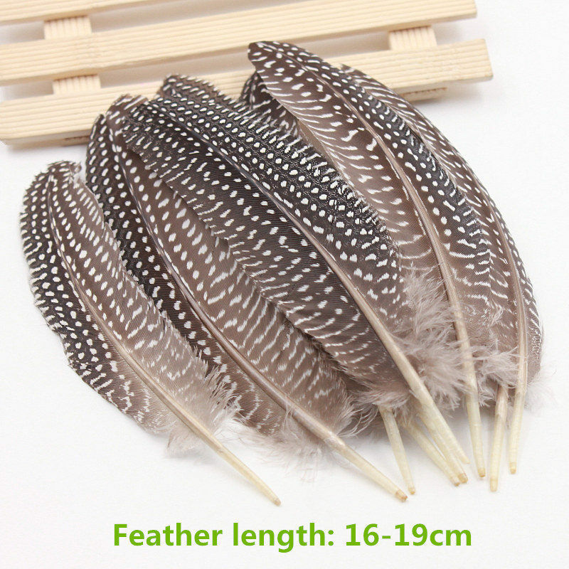 100 Pcs Natural Guinea Fowl Feather 16-19cm/ 6.3-7.5inch Decorative Diy Carnival