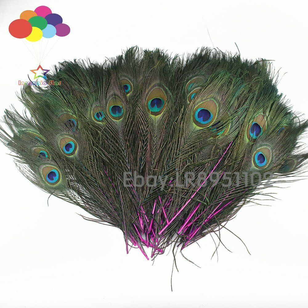 100 Pcs Dyeing Rose red Peacock Feathers For Crafts Length 25-30CM 10-12inch Diy