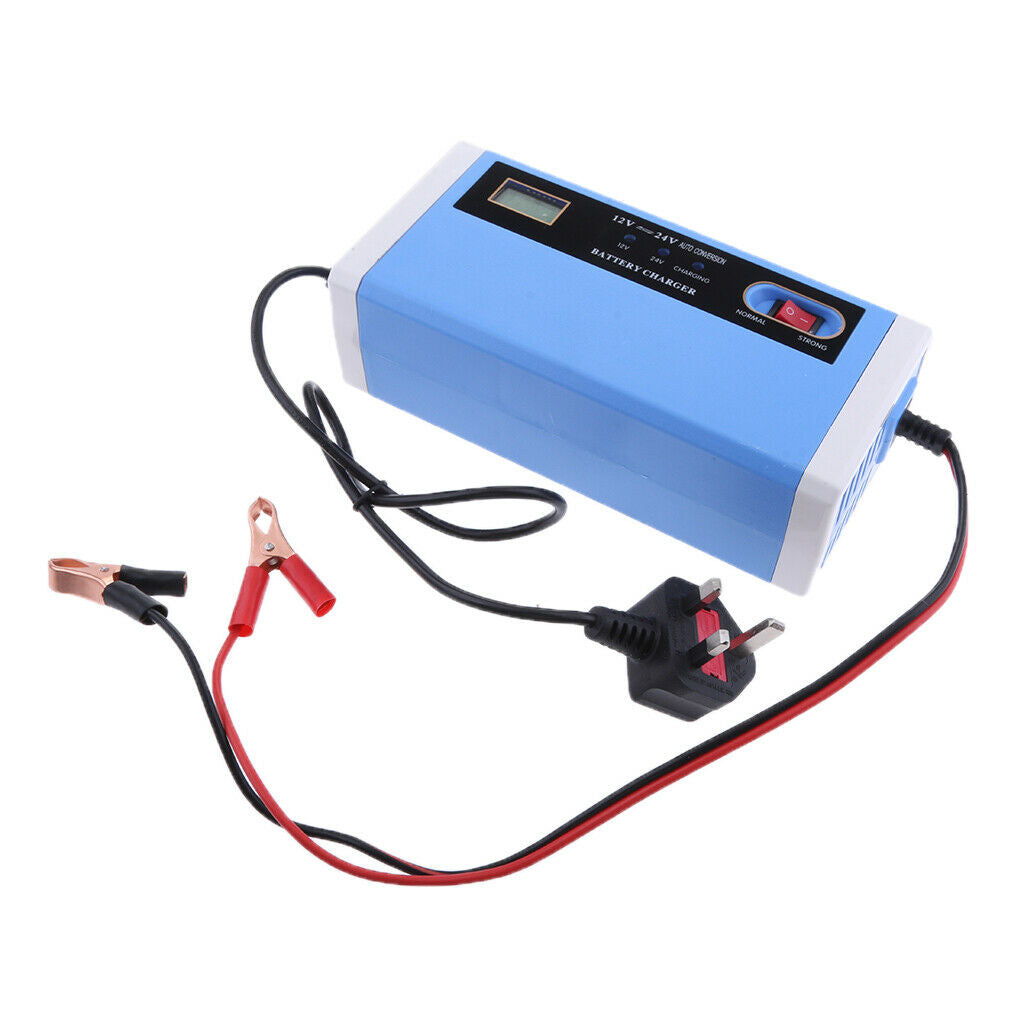 12V-24V 10A Intelligent Pulse Battery Charger/Repair for Electric car UK