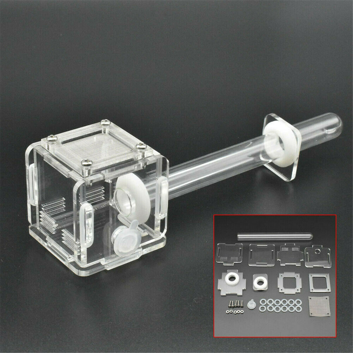 Acrylic Mini Ant Nest Glass Nest Tube Farm Formicarium Small Colony Feeding Area
