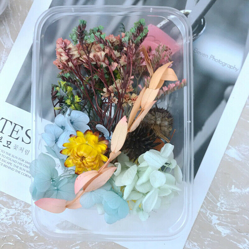 1 Box Dried Flower DIY Accessories Dry Candle Pendant Home Wedding Flower.l8