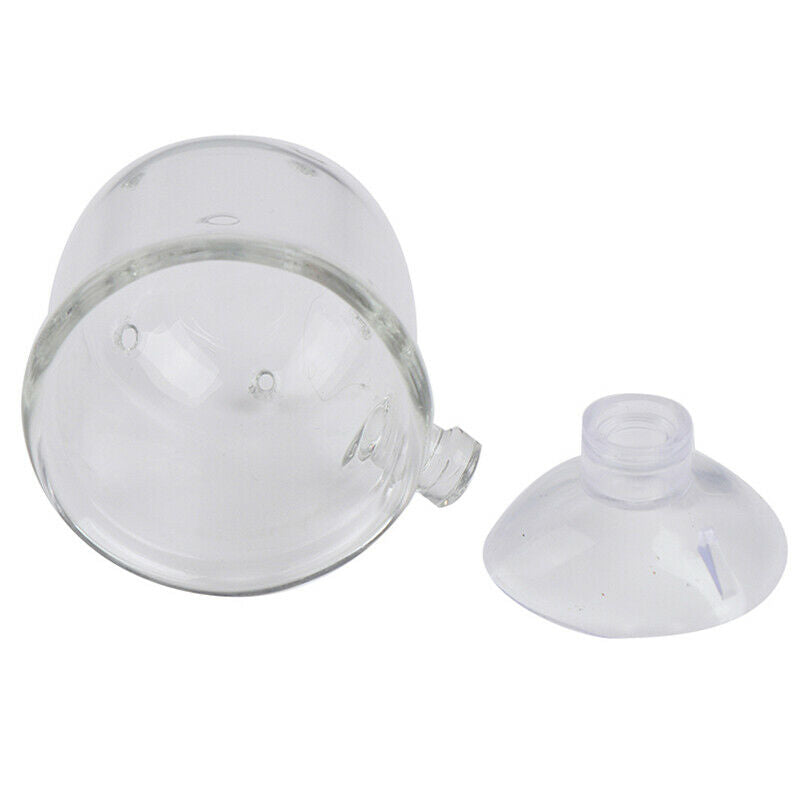 Pinhole Pot Plant Feeding Cup Holder Shrimp Aquarium Fish Tank Aquatic Fe.l8