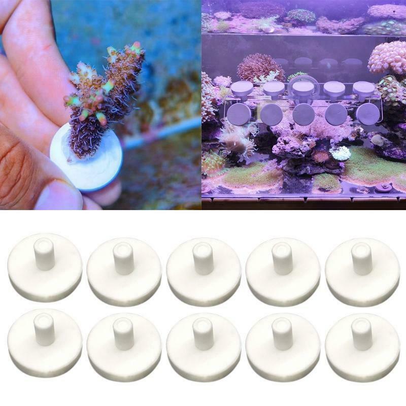 Ceramic Coral Frag Disks Coral Frag Rack Plates Brackets Aquarium Accessories