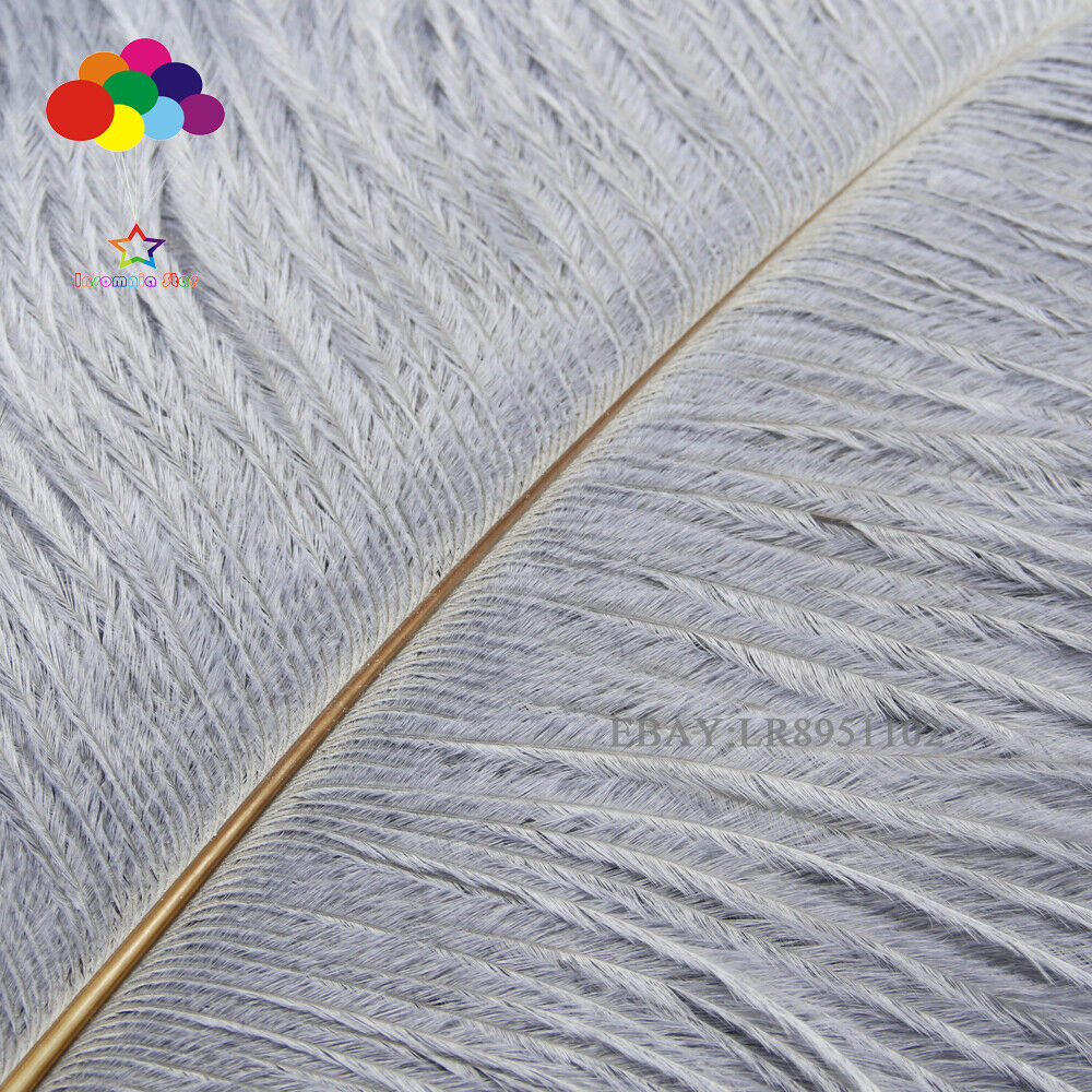 20-25cm 50 pcs Ostrich Feathers Supplies Craft Supplies Wedding Accessories