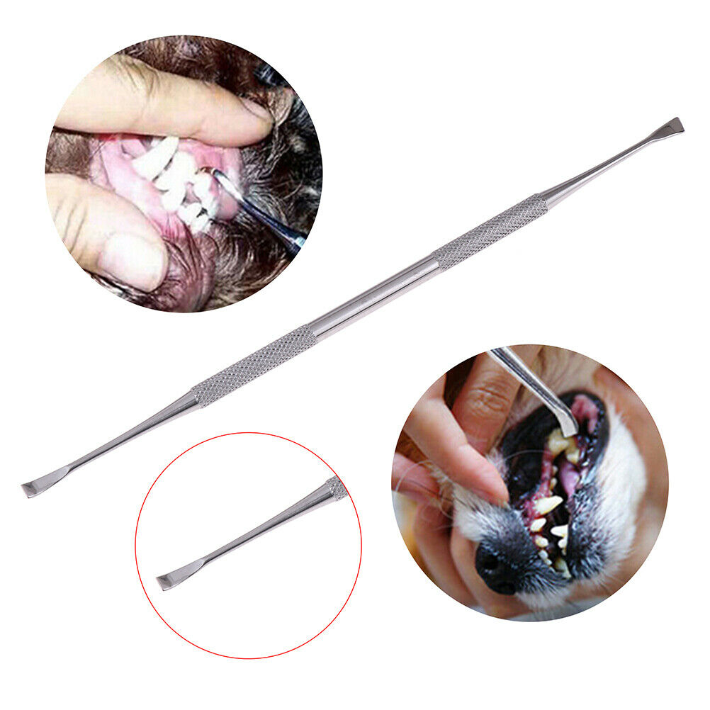Pet Dog Scaler Remover Scraper Tartar Calculus Tooth Dental Teeth Tool Anim DD