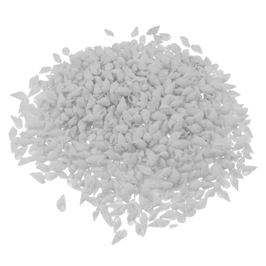 500g Mixed Sea Beach Shells Craft Seashells Aquarium Fish Tank Decor #1 500g