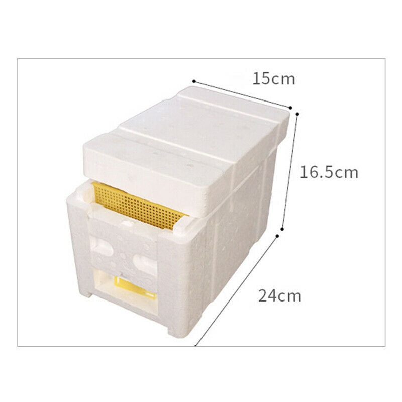 1PC Bee Hive Beekeeping King Box Pollination Box Foam Frames Beekeeping Tool KSJ