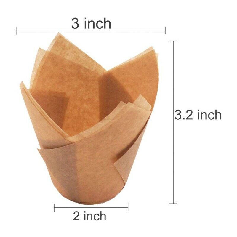 200 Pieces  Cupcake Liner Baking Cups Paper Cupcake and Muffin Baking Cups forL5