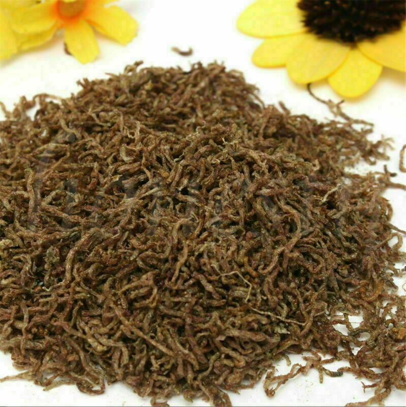 10g Freeze Dried Blood Worm Fresh Tropical Fish Discus Tetra Food Feeding