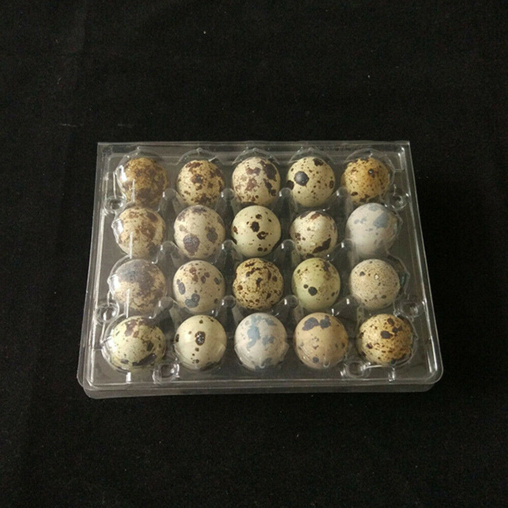 50Pcs Quail Egg Holder Tray 20 Eggs Secure Snap Close Plastic Box Container Acc