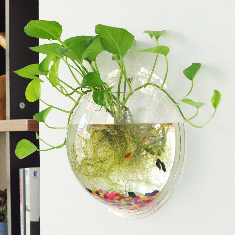 Acrylic Wall Mounted Hanging Fish Bowl Aquarium Tank Hanger Plant Home Decor